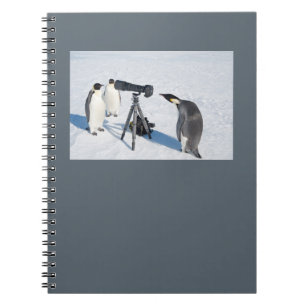 Espiral Caderno dos paparazzi do pinguim