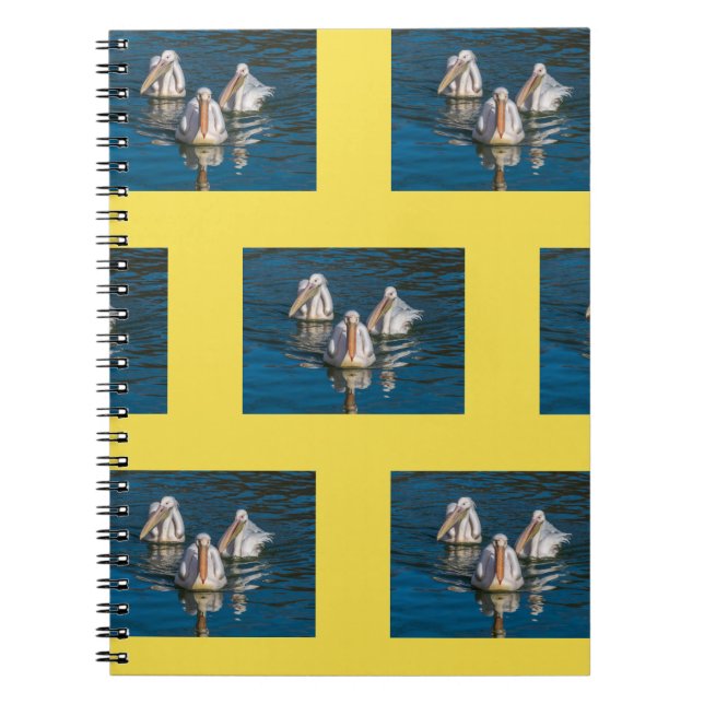 Espiral Caderno dos pelicanos (Frente)