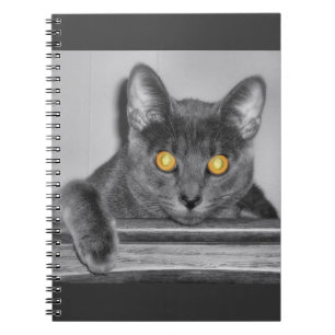 Espiral Caderno Dourado Escuro