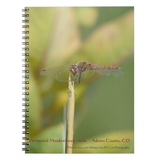 Espiral Caderno encadernado com foto de libélula (Frente)