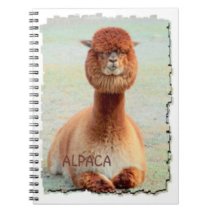 Espiral Caderno engraçado da alpaca