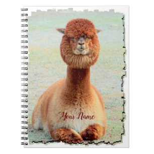 Espiral Caderno engraçado da foto da alpaca