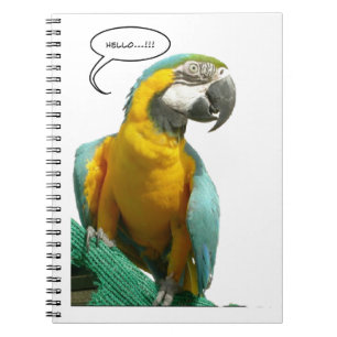 Espiral Caderno engraçado do papagaio de fala