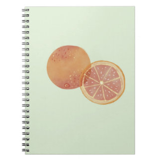 Espiral Caderno Estético Verde Laranja