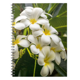Espiral Caderno exótico do Plumeria da ilha