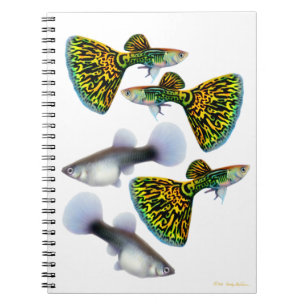 Espiral Caderno extravagante dos Guppies do Fantail