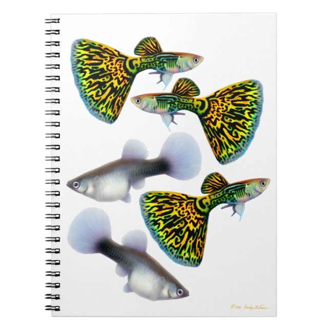Espiral Caderno extravagante dos Guppies do Fantail (Frente)