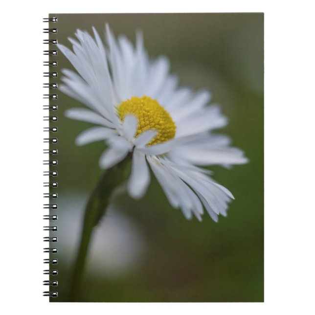 Espiral Caderno - Fotografia Floral Margarida (Frente)