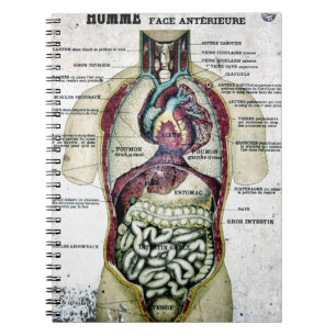 Espiral Caderno francês da anatomia do vintage