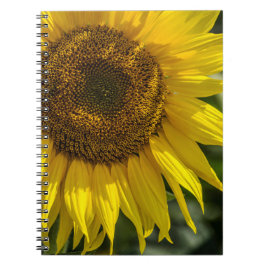 Espiral Caderno - Girassol Amarelo