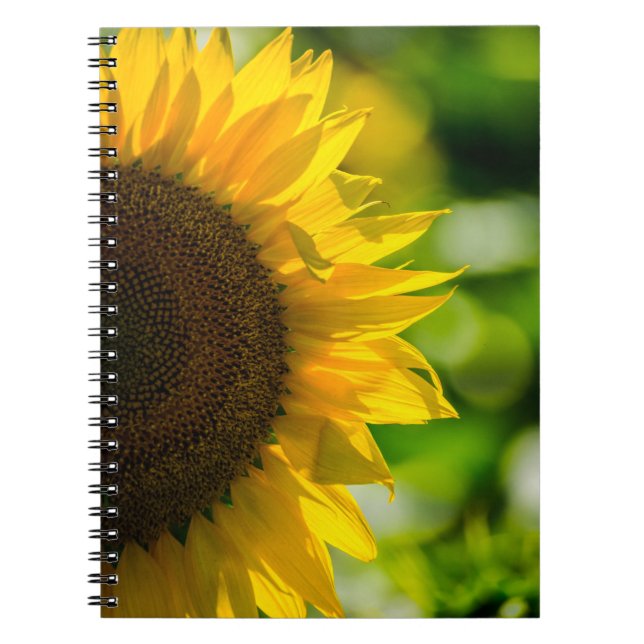 Espiral Caderno - Girassol no Campo (Frente)