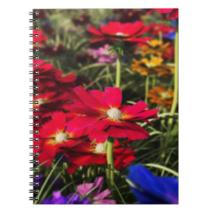 Espiral Caderno iridescente do primavera