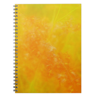 Espiral Caderno Laranja Brilhante