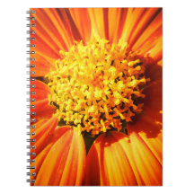 Caderno Macro Flor Laranja Radiante Foto da Nature