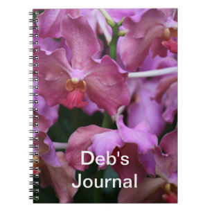 Espiral Caderno malva da orquídea de Singapore