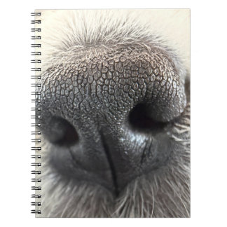 Espiral Caderno Nariz de Cachorrinho Irresistível