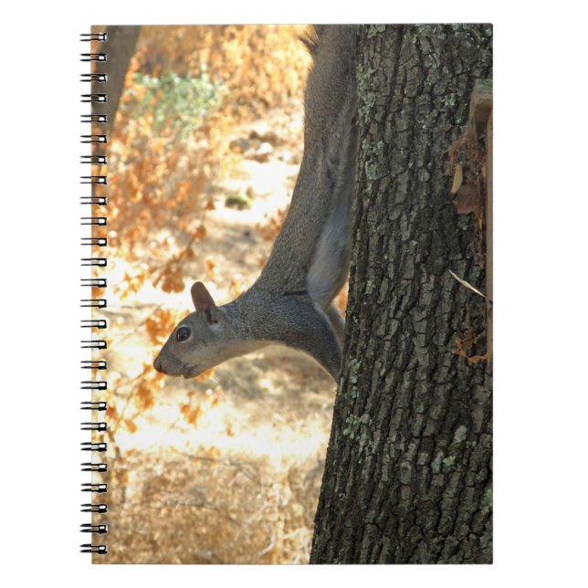 Espiral Caderno ocupado do esquilo (Frente)