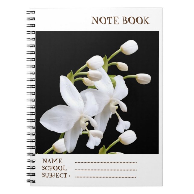 ESPIRAL CADERNO PARA ALUNO (Frente)