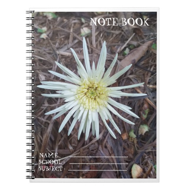 ESPIRAL CADERNO PARA ESTUDANTES (Frente)
