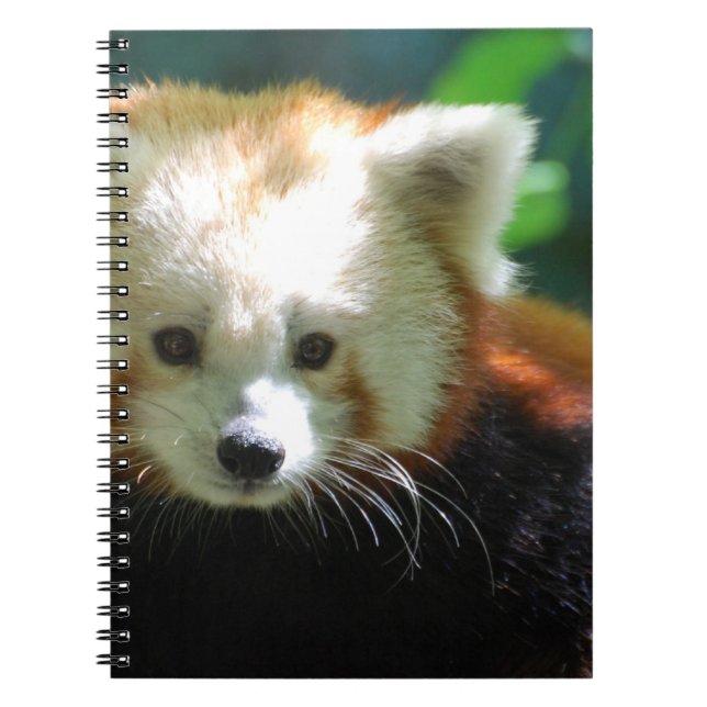 Espiral Caderno - personalizado (Frente)