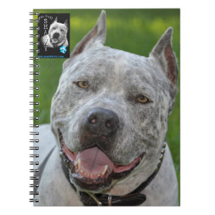 Espiral caderno @PitBullSharky! Cara feliz do sorriso do