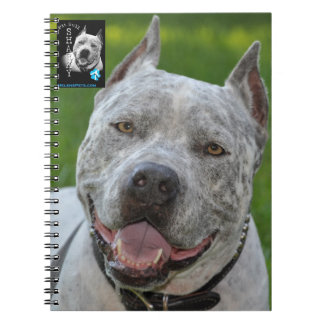 Espiral caderno @PitBullSharky! Cara feliz do sorriso do