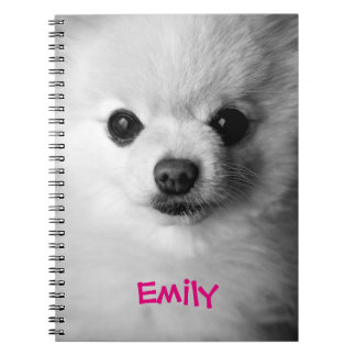 Espiral Caderno precioso de Pomeranian