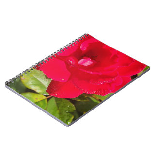 Espiral Caderno Rosa