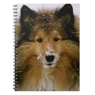 Espiral Caderno - Sheepdog de Shetland na neve