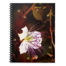 Espiral Caderno Sonhador Vintage Palestina Flor de Alcapar