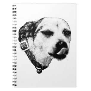 Espiral Caderno Terrier Safado – Piscadela e Lambida