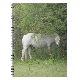 Espiral Caderno tímido do cavalo branco