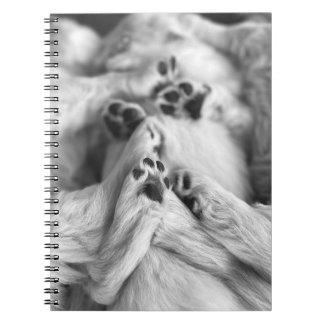 Espiral Caderno Uma Pilha de Patas de Cachorrinho