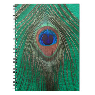 Espiral Caderno verde da pena do pavão