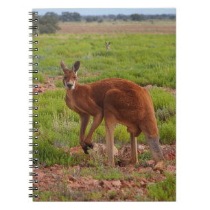 Espiral Caderno vermelho australiano do canguru