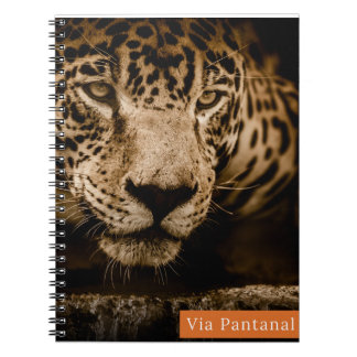 Espiral Caderno Via Pantanal Onça