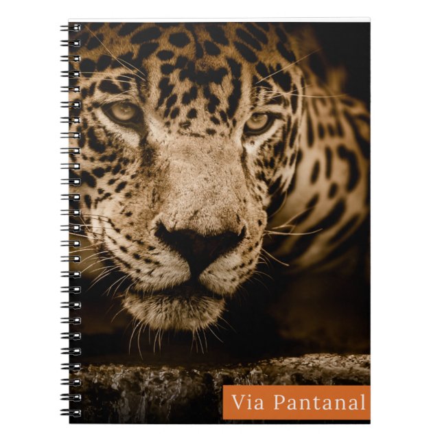 Espiral Caderno Via Pantanal Onça (Frente)