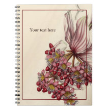 Caderno Vintage Medinilla Magnifica
