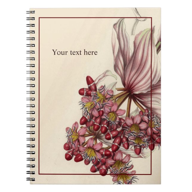 Espiral Caderno Vintage Medinilla Magnifica (Frente)