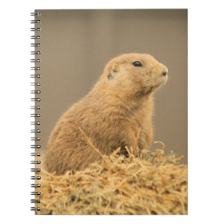 Espiral Cão de pradaria Aint mim caderno bonito