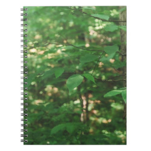 Espiral "Folhas em uma árvore…" Caderno da fotografia d