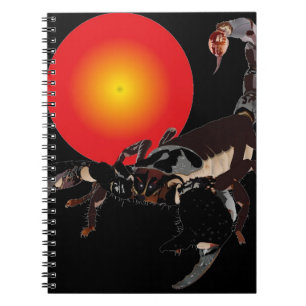 Espiral Lacrau caderno