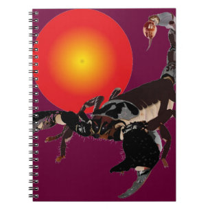 Espiral Lacrau caderno