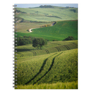 Espiral Linhas Curvy no caderno verde de Toscânia