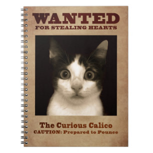 Espiral O caderno curioso do gatinho da chita