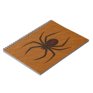 Espiral O Caderno da Teia da Aranha