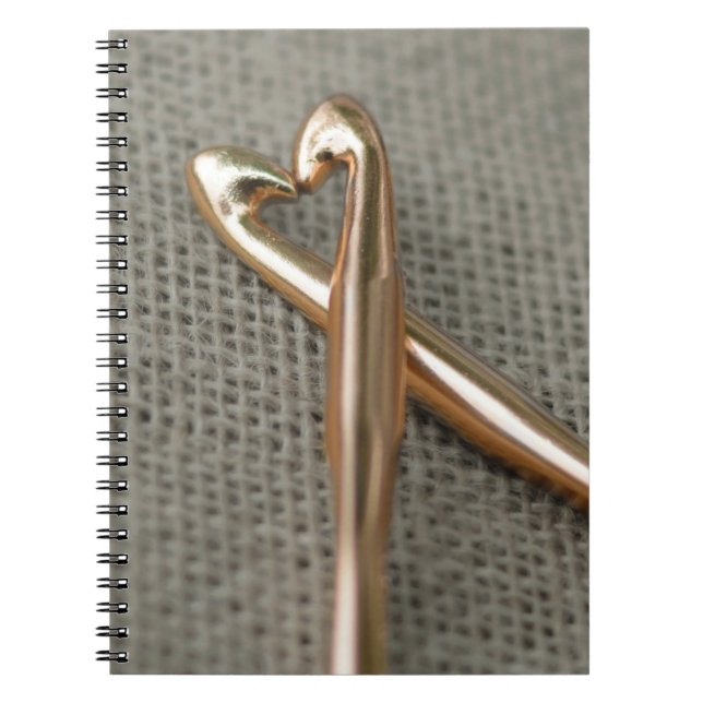 Espiral O caderno dos amantes do Crochet (Frente)