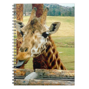 Espiral O girafa que cola o é caderno da língua para for