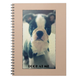 Espiral Olhe-me caderno bonito do cão