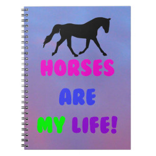 Espiral Os cavalos bonitos são meu caderno da vida